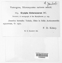Image Associated With the Occurence